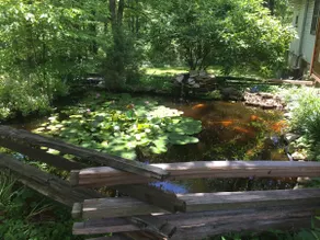 Koi cottage located in the woods with hot tub - Image 3