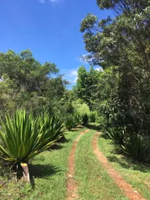 Chapinha Cottage - Image 5