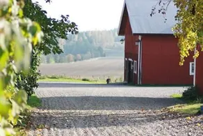 Beautiful living in the countryside of Sweden. - Image 4