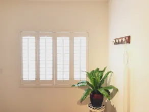 Natural Light Guest Space - Image 4