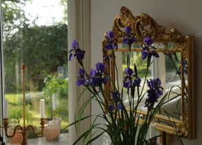 Romantic house in the countryside - Image 3