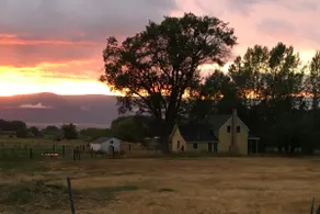 Little Yellow House - Image 5