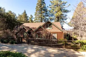”Enchanted Cabin” in the Mountains @ Skylark Manor - Image 2