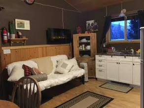 Airbnb Cabin North Shuswap Celista - Image 4