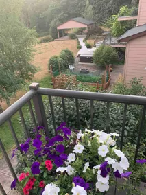Quiet, spacious cottage apartment; Sleeps 5 - Image 2