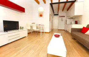 Sant Miquel Homes Penthouse - Image 4