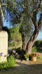 La Vigne - 3 room apartment + large terrace - Image 2