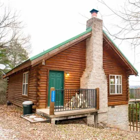Country Blue Lake View Log Cabin - Image 1