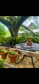 NEW!!<br>The Potters Cottage minutes from 1-49 and 1-10. - Image 3