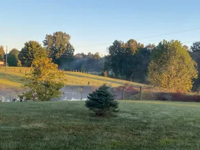 Private Stay in Grand Rivers, Minutes From Kentucky Lake and I-24/I-69 - Image 5