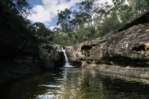 Acacia Cottage with bush view - Werriberri - Image 2