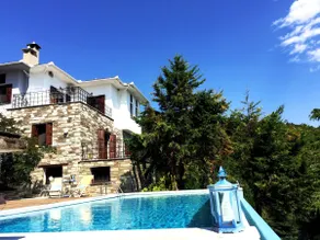 Art Luxury Resort Villa - Image 3