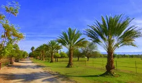 Casita at Rancho Remuda - Image 2