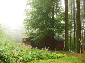 Pine House Vermont - Elmore / Stowe - Image 2