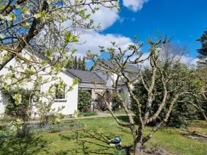 Pension Ulla - Image 3