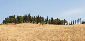 La casa Amaca - Image 2