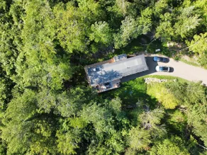 trähus. little wooden house amongst the trees. - Image 3