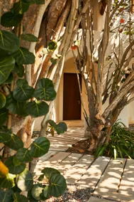 “Villa Sonrisa” E17 - Image 5