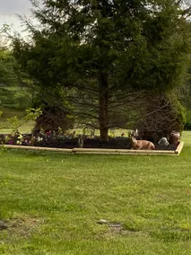 Beautiful Country setting, close to wineries - Image 5