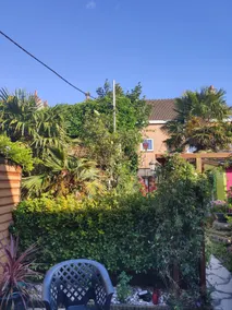 House near beach, sunny terrace + bikes - Image 5