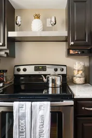 Stylish Luxury Apt. in Historic Reservoir Hill - Image 5