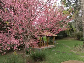 COUNTRY HOUSE IN THE SERRA CATARINENSE - Image 2