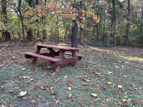 Private Escape by the Lake! Your Ozark hideaway! - Image 4