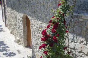 Casa delle Noci - Image 5