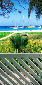 Twin Palm, on the Beach,  Garden Apartment - Image 2