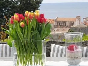 Villa Franklin Dubrovnik mit Swimmingpool - Image 2