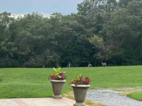 Shenandoah River Retreat - Image 5