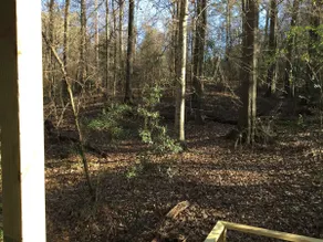 Artist Cabin in Woods - Image 4