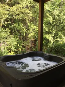 Forest Haven BNB: Private suite and hot tub - Image 3