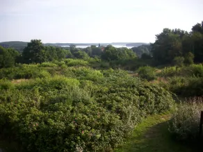 Vacation apartment in the old thatched house on Usedom - Image 2