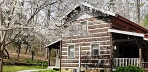 Cabin in the Hollow /Entire Cabin - Image 4