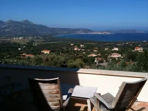 The Almond Trees - Image 3
