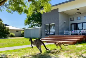 4br Modern Retreat, Views, Kangaroos, Casual Lux - Image 3
