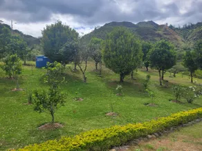 Cheerful country house near the valley - Image 3
