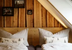 Chalet Anton – Chalets am Berg Oberwiesenthal - Image 4