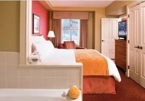 Marriott's MountainSide - Image 3