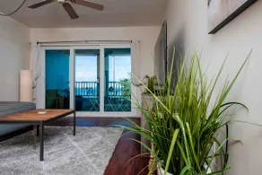 Waterfront Condo in Dunedin/Clearwater - Image 5