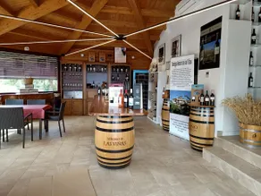 Among vineyards with a pool in a Rioja winery - Image 4