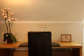 Standard Flat with kitchenette - Image 5