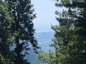 The Round House - An Exclusive B&B at Changla Gali - Image 3