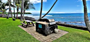 Ali'i Banyan Breeze - Image 2