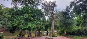 Jungle Cabana - Image 4