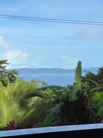 Big Jungle House - Oceanview/WiFi/Aircon - Image 4