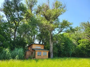 Treehouse - Image 2