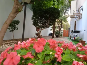 Small apartment near the beach IUN 2730 - Image 3
