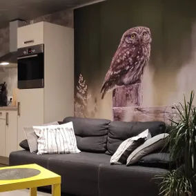 Studio Gîte 'Eul cat huant' (plain pied) - Image 3